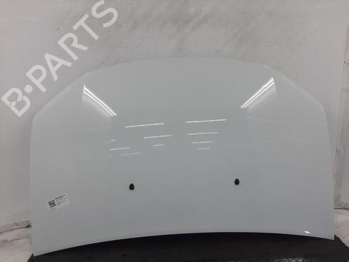 hood-dacia-sandero-ii-2012-32448867 main image