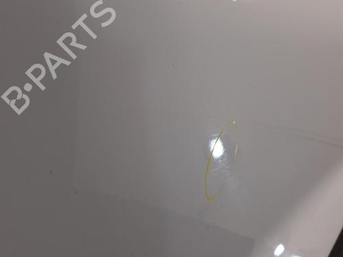 Left front door FORD FIESTA VII (HJ, HF) 1.0 EcoBoost | BP31009780C2 