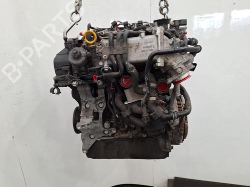 Engine AUDI A3 (8V1, 8VK) 1.6 TDI | BP35922660M1 - Image 5