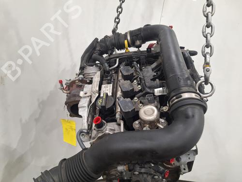Motor FORD FIESTA VI (CB1, CCN) 1.0 EcoBoost | BP29882470M1