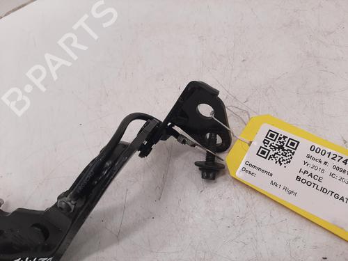 Hinge/Door check strap JAGUAR I-PACE (X590) EV400 AWD | BP26840674C146 