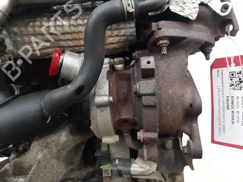 Engine LAND ROVER RANGE ROVER IV (L405) 3.0 SDV6 4x4 | BP31207932M1 