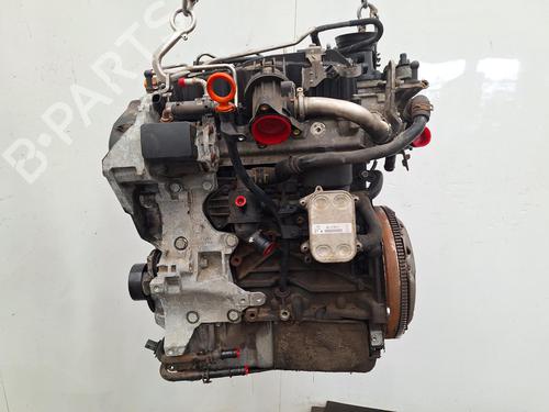 Engine SKODA FABIA II (542) 1.6 TDI | BP36290389M1 - Image 5