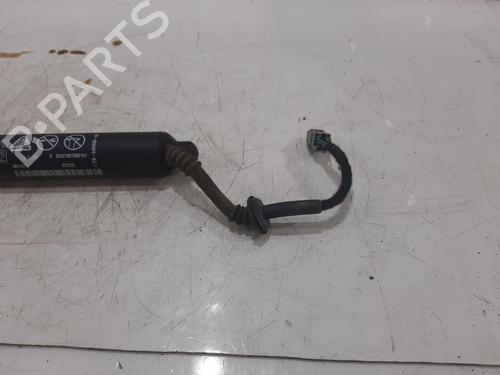 Støddæmperfjeder FORD PUMA (J2K, CF7) 1.0 EcoBoost mHEV | BP35985766C152 - Image 2