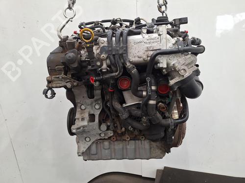 Engine VW GOLF VII (5G1, BQ1, BE1, BE2) 1.6 TDI | BP29553852M1 