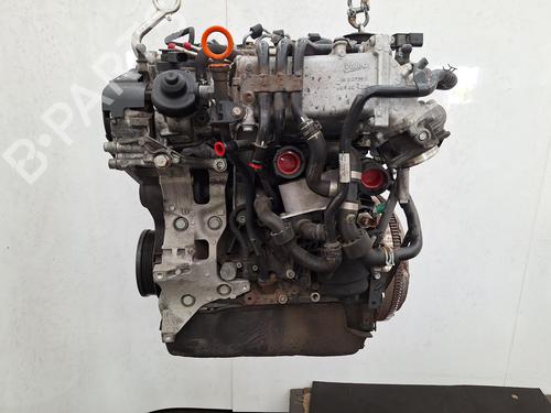 Engine VW GOLF VII (5G1, BQ1, BE1, BE2) 1.6 TDI | BP28575436M1