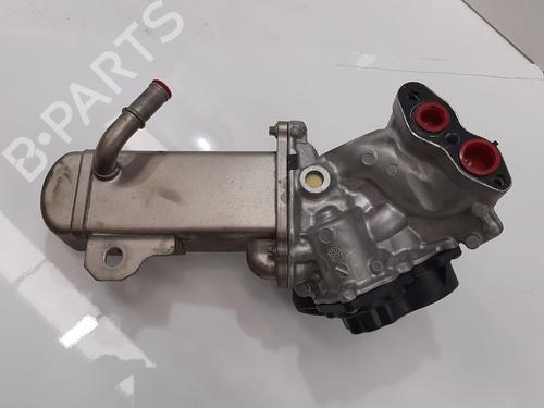 Egr FORD GRAND C-MAX (DXA/CB7, DXA/CEU) 2.0 TDCi | BP28274555M69 