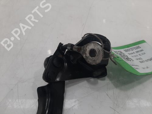 Hinge/Door check strap JAGUAR I-PACE (X590) EV400 AWD | BP26795103C146 