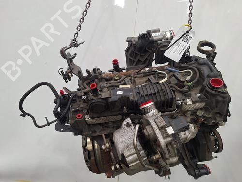 Engine FORD TRANSIT CUSTOM V362 Van (FY, FZ) 2.0 EcoBlue | BP34424205M1  - Image 6