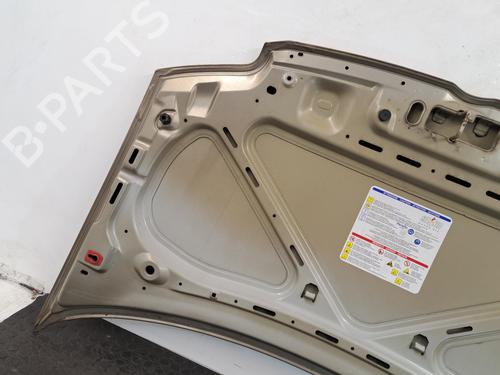 Hood FIAT PANDA (169_) 1.1 (169.AXA1A) | BP29398342C1 