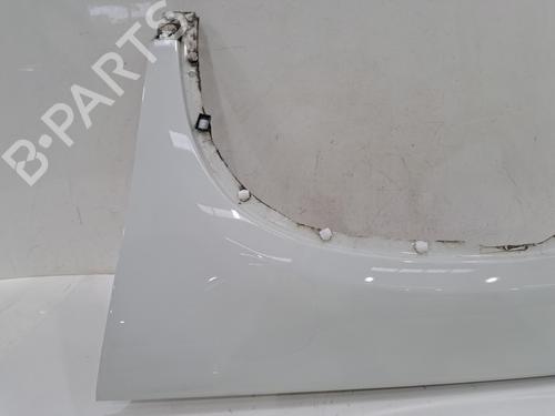 Left front fenders VW TIGUAN (5N_) 2.0 TDI 4motion | BP29809794C41 
