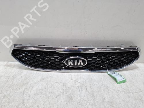 Used Grille Grille 39657381 39657381