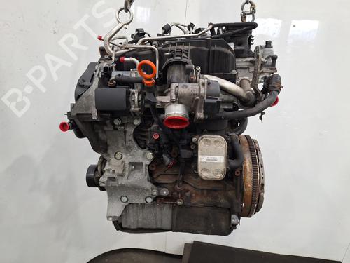 Engine AUDI A3 Convertible (8P7) 1.6 TDI | BP35922880M1 - Image 5