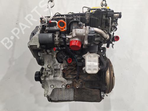 Engine VW POLO V (6R1, 6C1) 1.6 TDI | BP29496844M1 