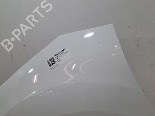 Left front fenders CITROËN DS3 Convertible 1.6 VTi 120 | BP30286783C41 