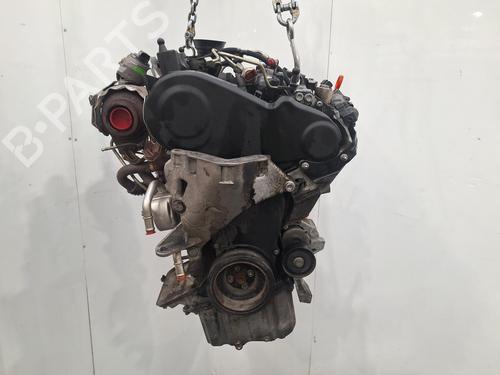 Used Engine VW POLO V (6R1, 6C1) 1.2 TDI (75 hp) 31596778