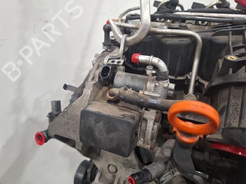 Engine VW GOLF VI (5K1) 1.6 TDI | BP29496815M1 