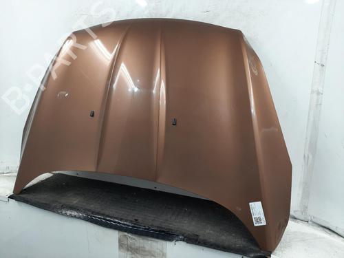 Hood FORD KUGA II (DM2) 2.0 TDCi | BP29603596C1 