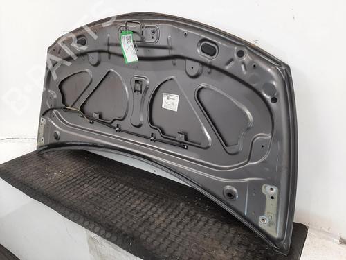 Hood RENAULT CLIO III (BR0/1, CR0/1) 1.2 16V (BR0P, CR0P) | BP26935647C1 