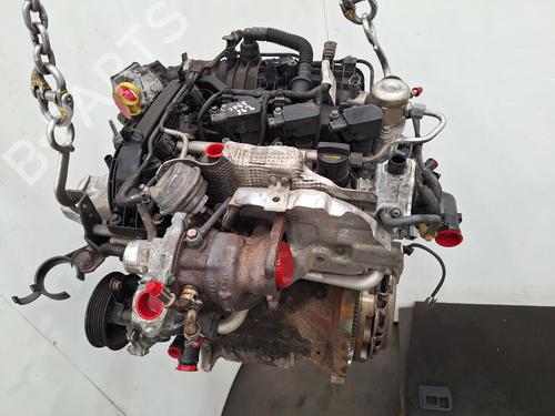Engine FORD FIESTA VI (CB1, CCN) 1.0 EcoBoost | BP33436443M1  - Image 6