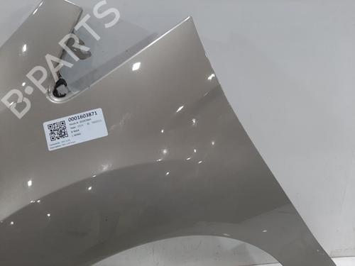 Guarda-lamas esquerdo FORD B-MAX (JK) 1.4 | BP31705663C41