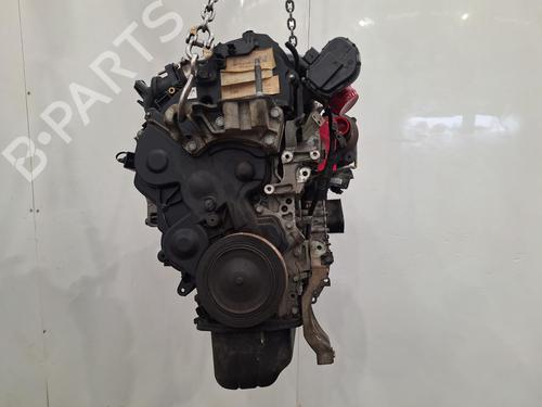 Used Engine Engine FORD C-MAX II (DXA/CB7, DXA/CEU) 1.6 TDCi (115 hp) 36551521 36551521