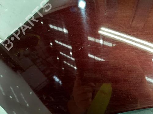 Left front fenders RENAULT SCÉNIC III (JZ0/1_) 1.5 dCi | BP27365068C41 