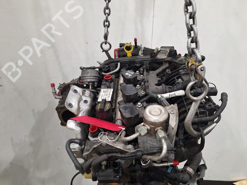 Engine FORD ECOSPORT 1.0 EcoBoost | BP29554057M1 