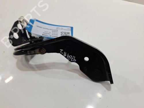 Hinge/Door check strap JAGUAR I-PACE (X590) EV400 AWD | BP27872367C146 