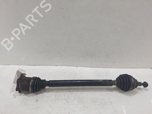 Used Other Other SKODA OCTAVIA III (5E3, NL3, NR3) 2.0 TDI RS (184 hp) 33435150 33435150