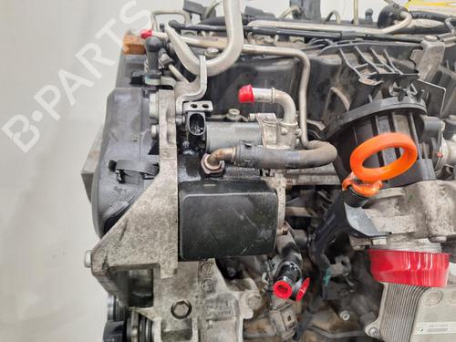 Engine VW POLO V (6R1, 6C1) 1.6 TDI | BP29496844M1 