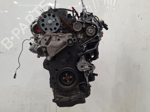 Used Engine VW TIGUAN (AD1, AX1) 2.0 TDI (150 hp) 33035413