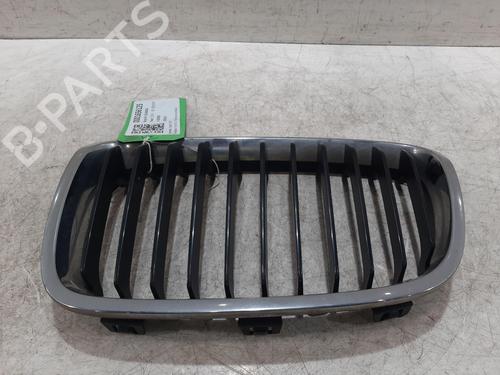 grille-bmw-1-f20-2011-2012-2013-2014-2015-2016-2017-2018-2019-33124401 main image