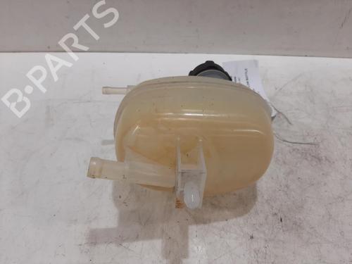 Expansion tank NISSAN MICRA V (K14) 1.0 IG-T 100 | BP30406552C120 