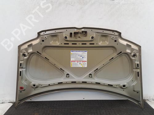 Hood FIAT PANDA (169_) 1.1 (169.AXA1A) | BP29398342C1 