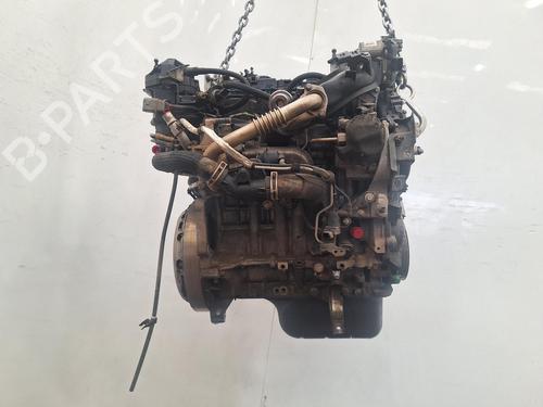 Engine FORD C-MAX II (DXA/CB7, DXA/CEU) 1.5 TDCi | BP37991354M1 - Image 4