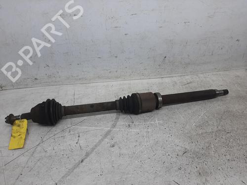 Used Other FORD FOCUS III 1.6 TDCi (115 hp) 26825475