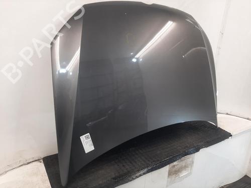 Hood VW POLO V (6R1, 6C1) 1.2 | BP29059973C1 