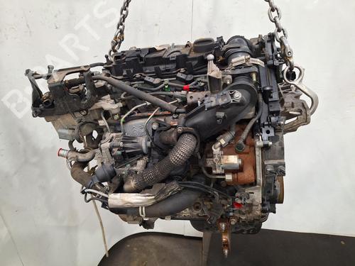 Engine FORD C-MAX II (DXA/CB7, DXA/CEU) 1.6 TDCi | BP36087391M1 - Image 3
