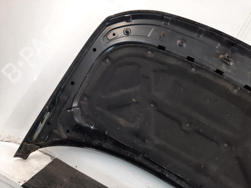 Hood LAND ROVER DISCOVERY IV (L319) 3.0 SDV6 4x4 | BP29059665C1 