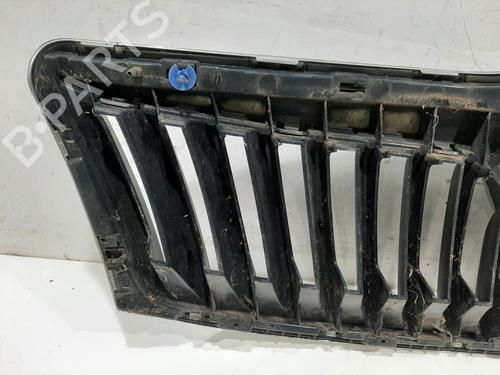 Grelha SKODA OCTAVIA II (1Z3) 1.6 TDI | BP30789539C40 