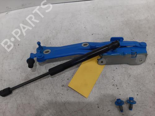 Hinge/Door check strap FORD USA MUSTANG Coupe 5.0 V8 | BP26806945C146 