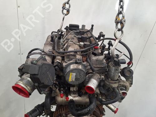 Engine KIA RIO III (UB) 1.1 CRDi | BP33555767M1  - Image 5