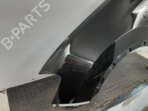 Left front fenders NISSAN QASHQAI I (J10, NJ10) 2.0 All-wheel Drive | BP29524497C41 