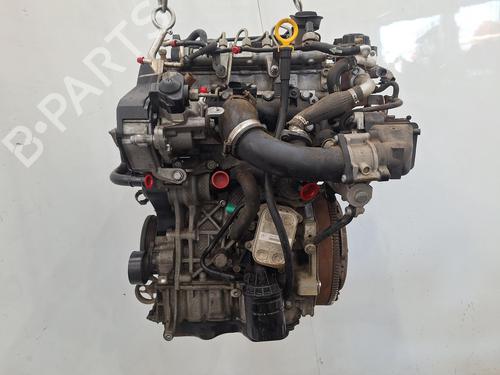 Engine VW POLO V (6R1, 6C1) 1.4 TDI | BP29444977M1 