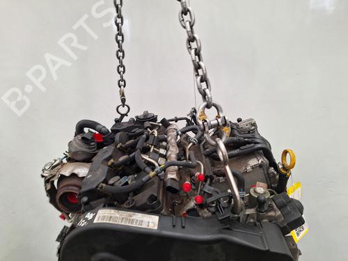 Engine AUDI A3 Sportback (8VA, 8VF) 1.6 TDI | BP36530498M1 - Image 2