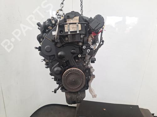 Used Engine FORD C-MAX II (DXA/CB7, DXA/CEU) 1.6 TDCi (115 hp) 32503678