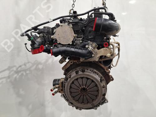 Used Engine FORD FIESTA VII (HJ, HF) 1.0 EcoBoost mHEV ACTIVE (125 hp) 31361175