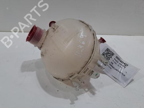 Used Expansion tank PEUGEOT 208 II (UB_, UP_, UW_, UJ_) 1.2 PureTech 100 (101 hp) 28379256