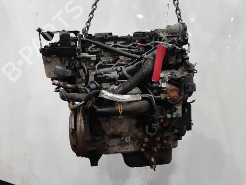 Motor FORD B-MAX (JK) 1.5 TDCi | BP29881812M1